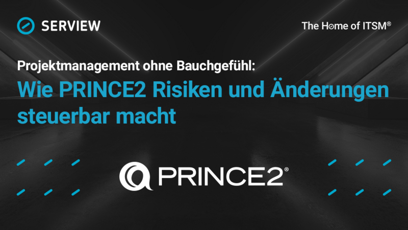 Infographic: Project Management Without Gut Feelings: How PRINCE2 Makes 7 Risks and Changes Manageable