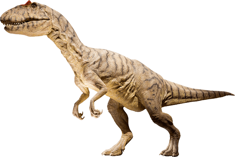 Dinosaur T-Rex Left Side